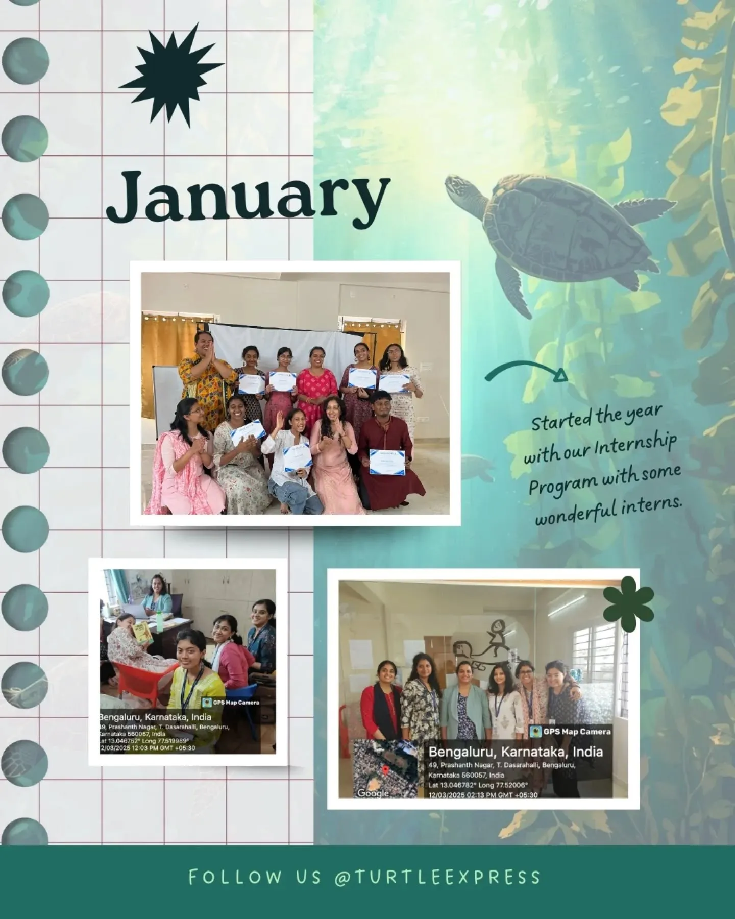 Turtle Express highlights, January 2025